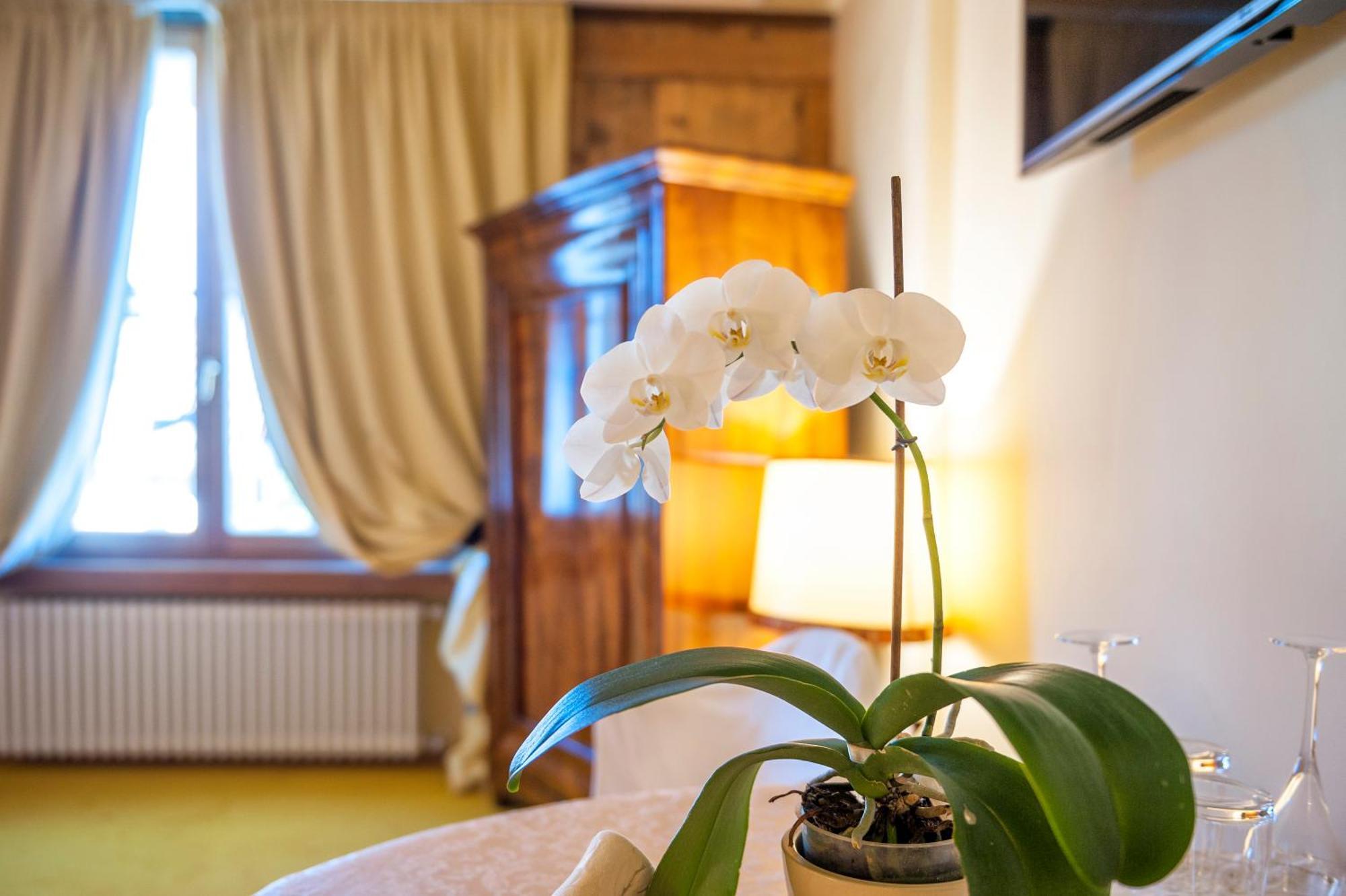 Villa Orso Grigio Ronzone Kültér fotó